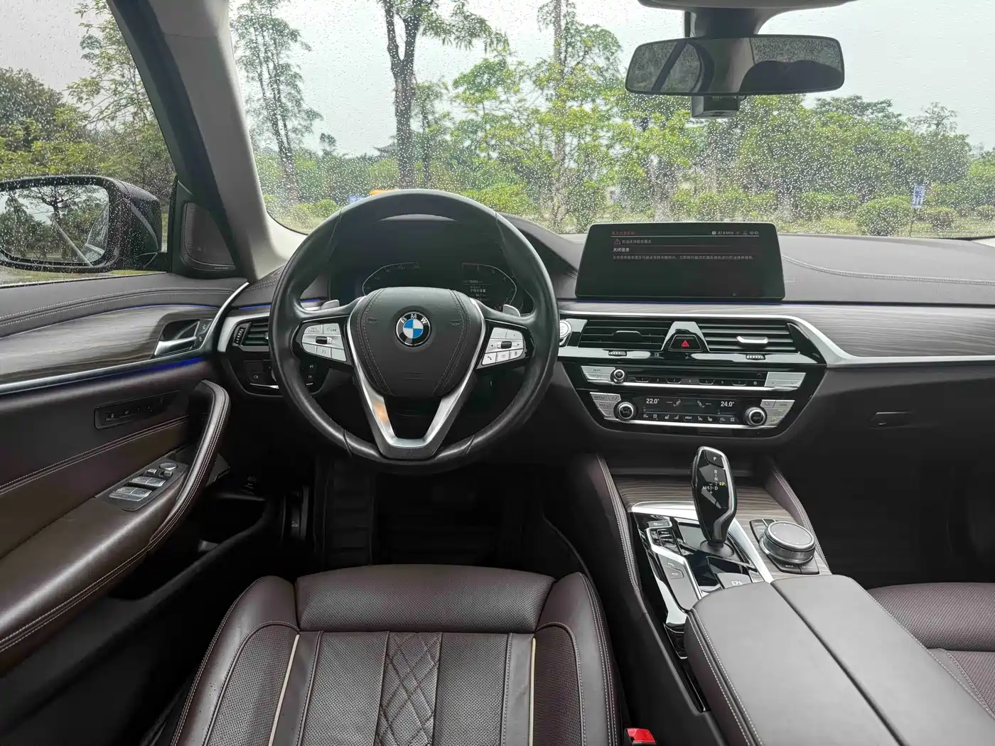 BMW 5 Series 2020 530Li Premium Luxury Package фото 11