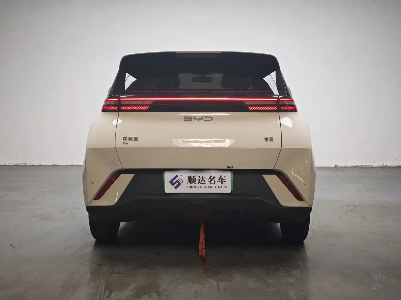 Фото 3 - BYD Seagull