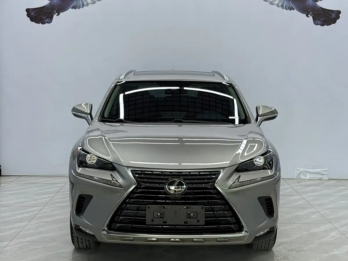 Lexus NX 2020 200 AWD F Sport China VI фото 2