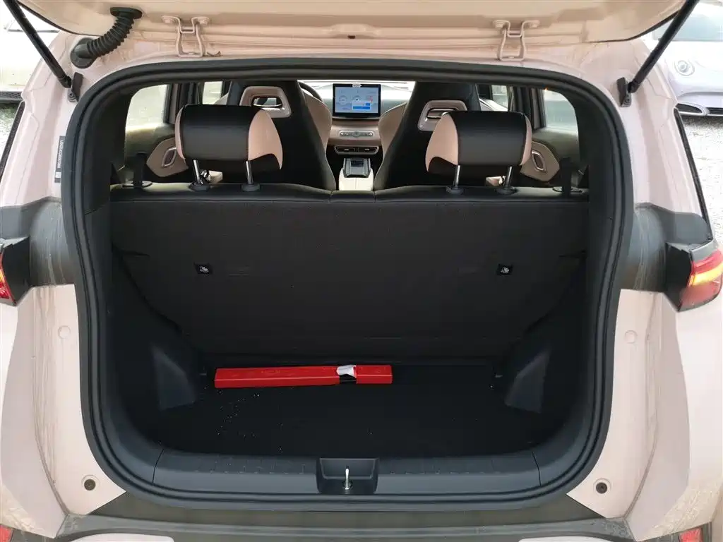 BYD Seagull 2025 Smart Drive Edition 305km Vitality Version фото 19