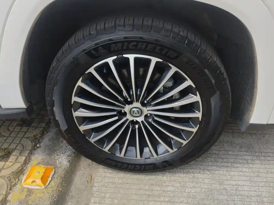 Changan CS95 2019 2019 2.0T 2WD Luxury