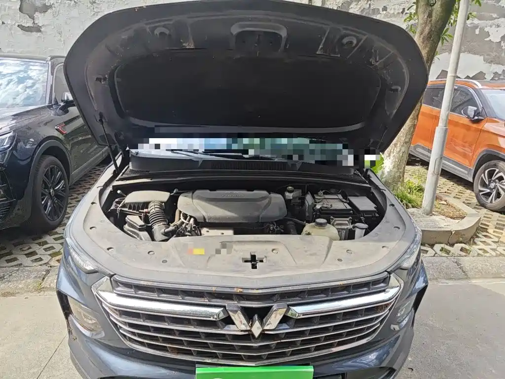 Фото 16 - Wuling Motors Wuling Victory