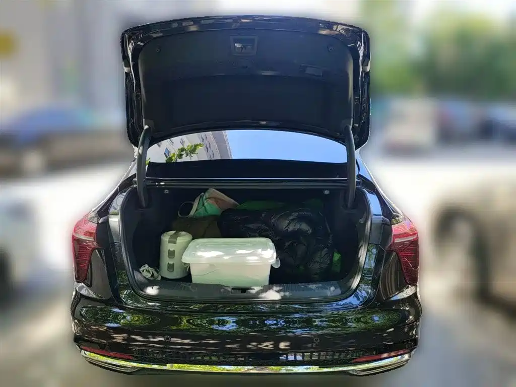 Hongqi H5 2024 2.0T Automatic Smart Connect Flag Enjoy Edition фото 10