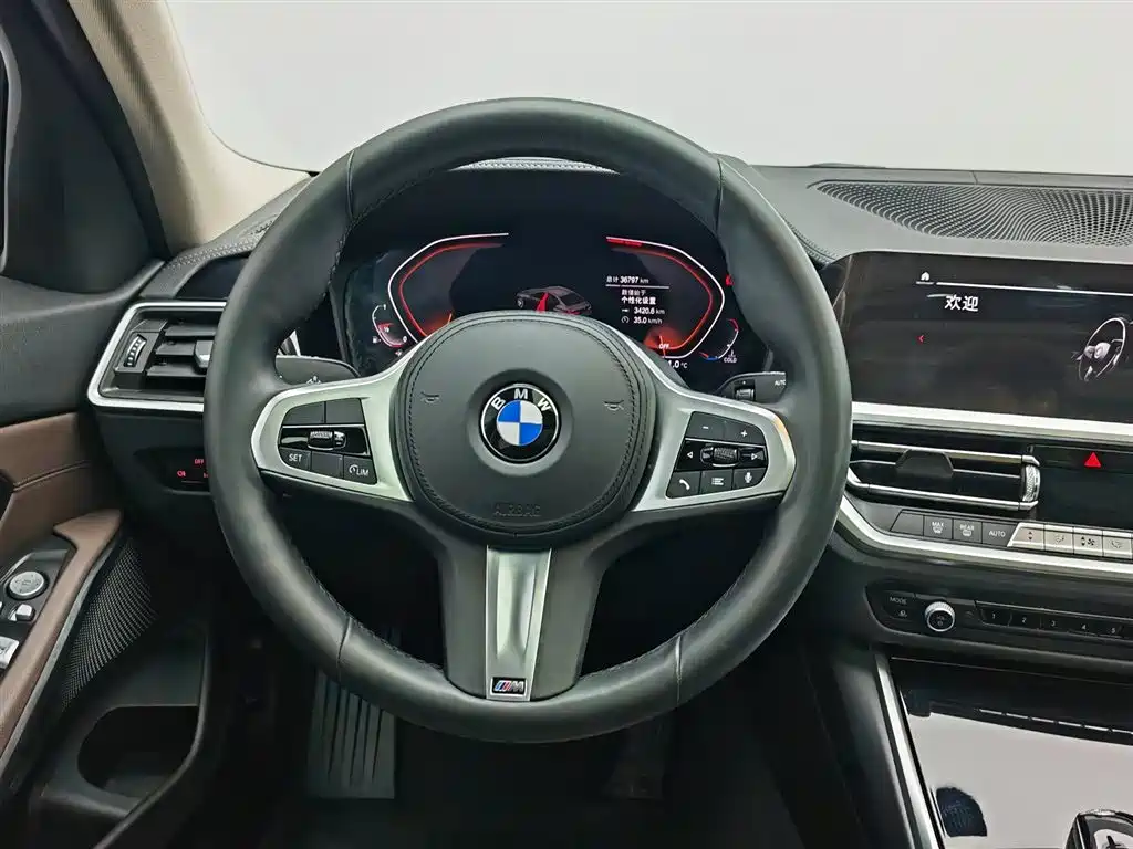 BMW 3 Series 2020 320Li M Sport Package фото 11