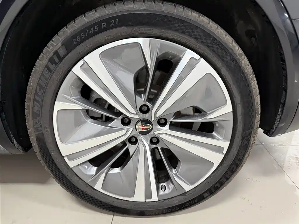Hongqi E-HS9 2022 690km Qi Xiang Edition (6-seater) фото 25