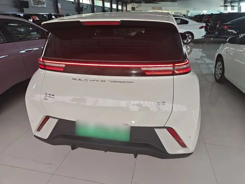 BYD Seagull 2024 Glory Edition 305km Freedom Edition фото 6