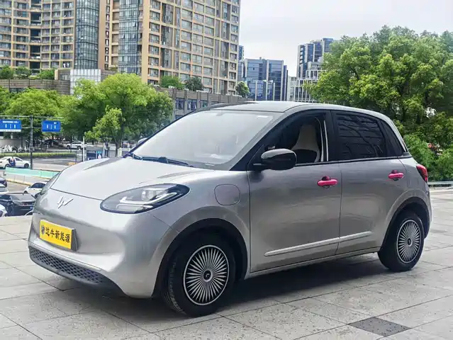  Wuling Motors Wuling Bingo 2023 333km Smart Connectivity Edition