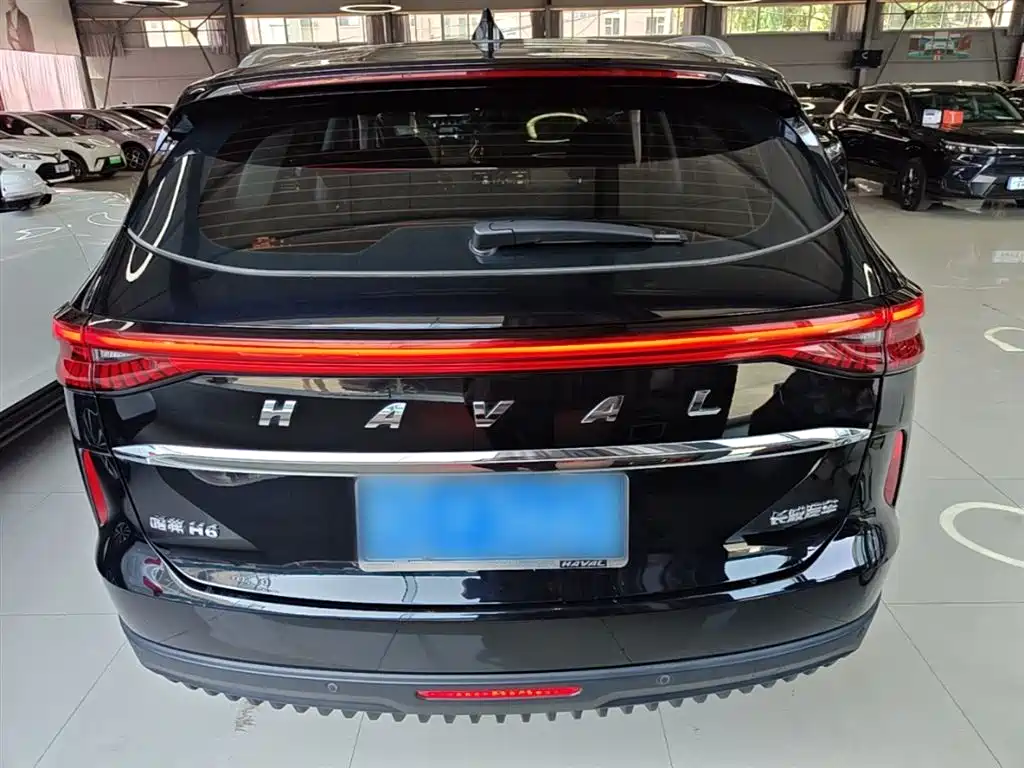 Haval H6 2022 3rd Gen 1.5T Auto 2WD Pro фото 6