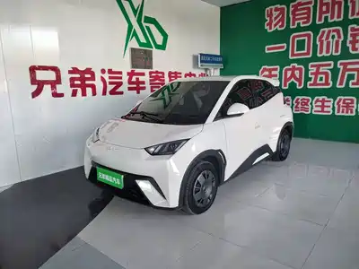 BYD Seagull