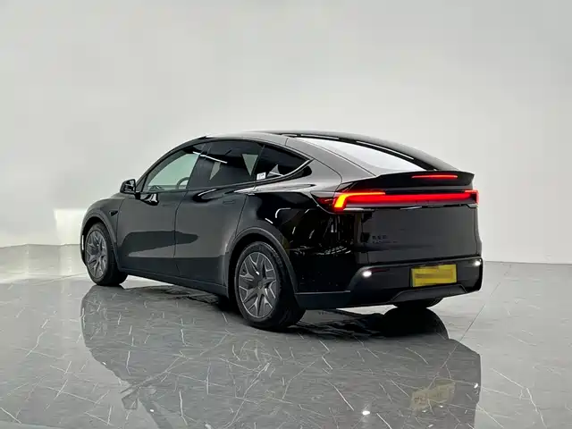 Tesla Model Y L, фото 4