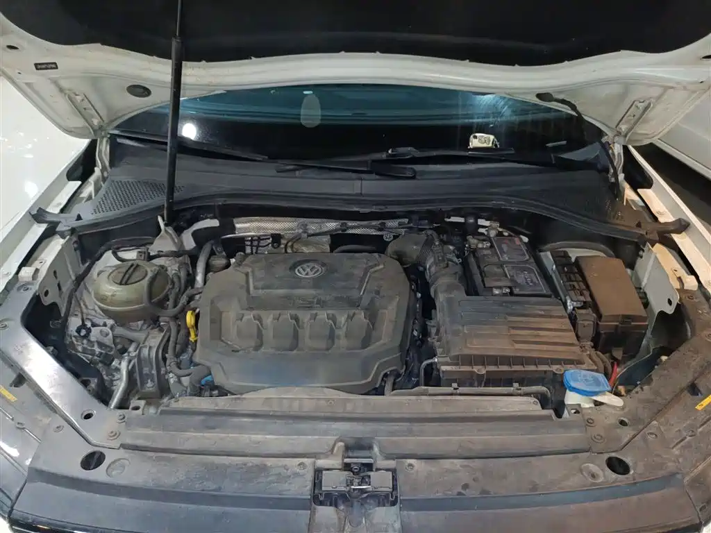 Volkswagen Tiguan L 2020 330TSI Auto 2WD Panorama Comfort China VI фото 23