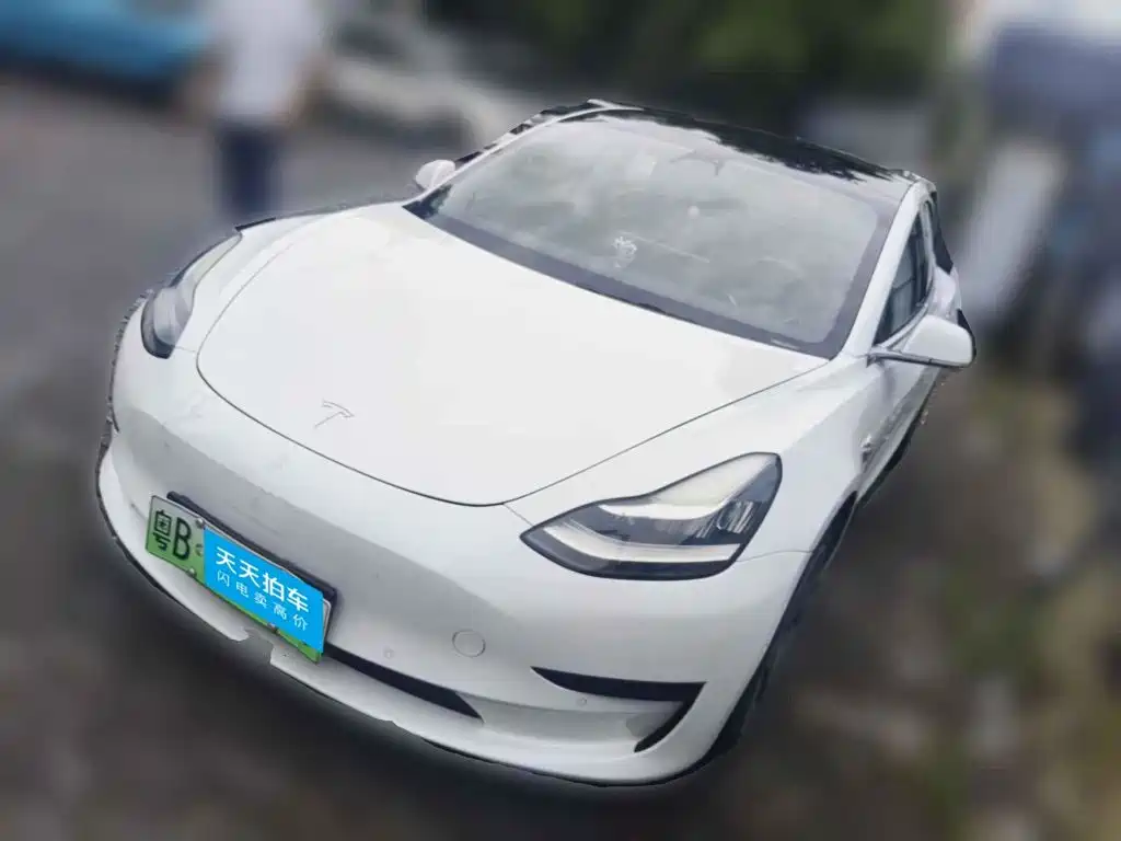 2020 Tesla Model 3 (Import)