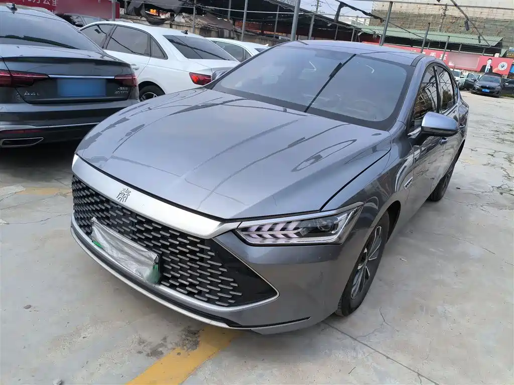 BYD Qin PLUS 2024 Glory Edition DM-i 55KM Leading фото 2
