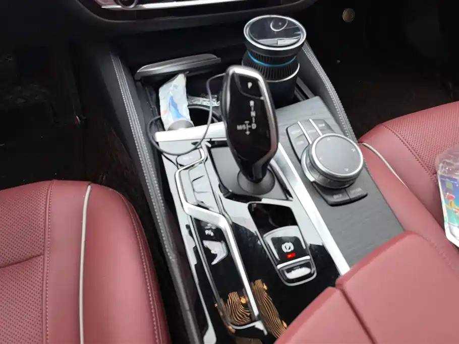 BMW 5 Series 2021 530Li Leading M Sport Package фото 16