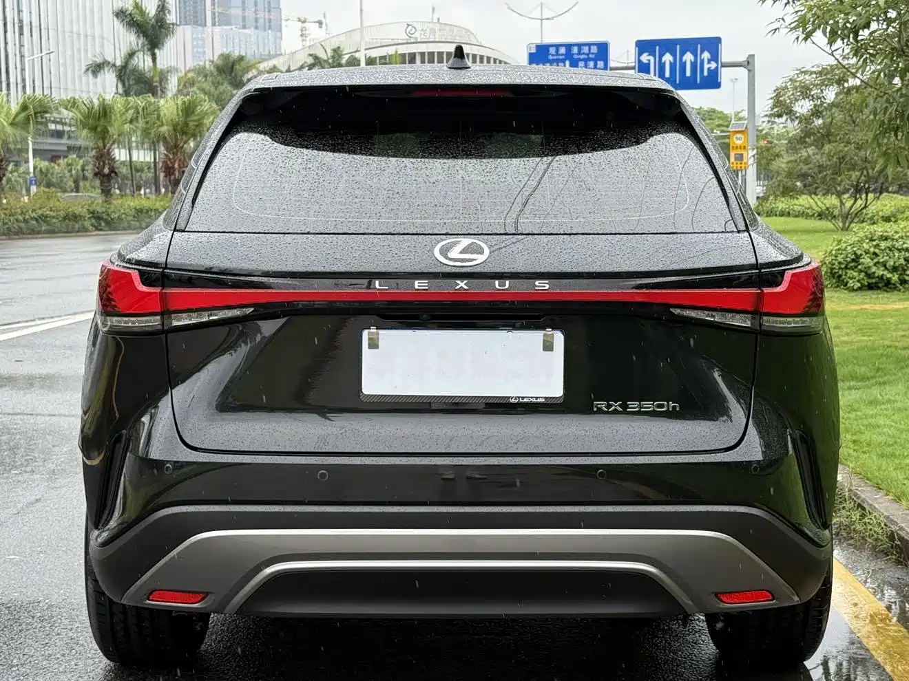 Lexus RX 2025 350h 2WD Joy Edition фото 6
