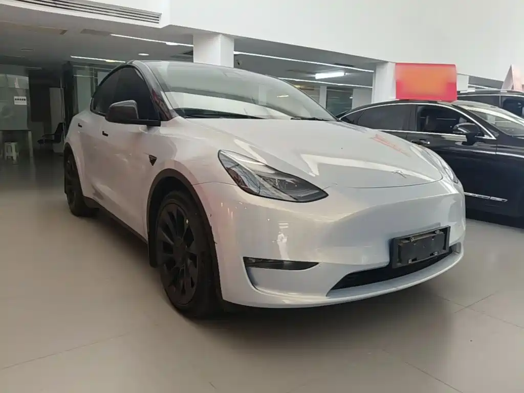 Tesla Model Y 2021 2021 Standard Range Rear-Wheel Drive