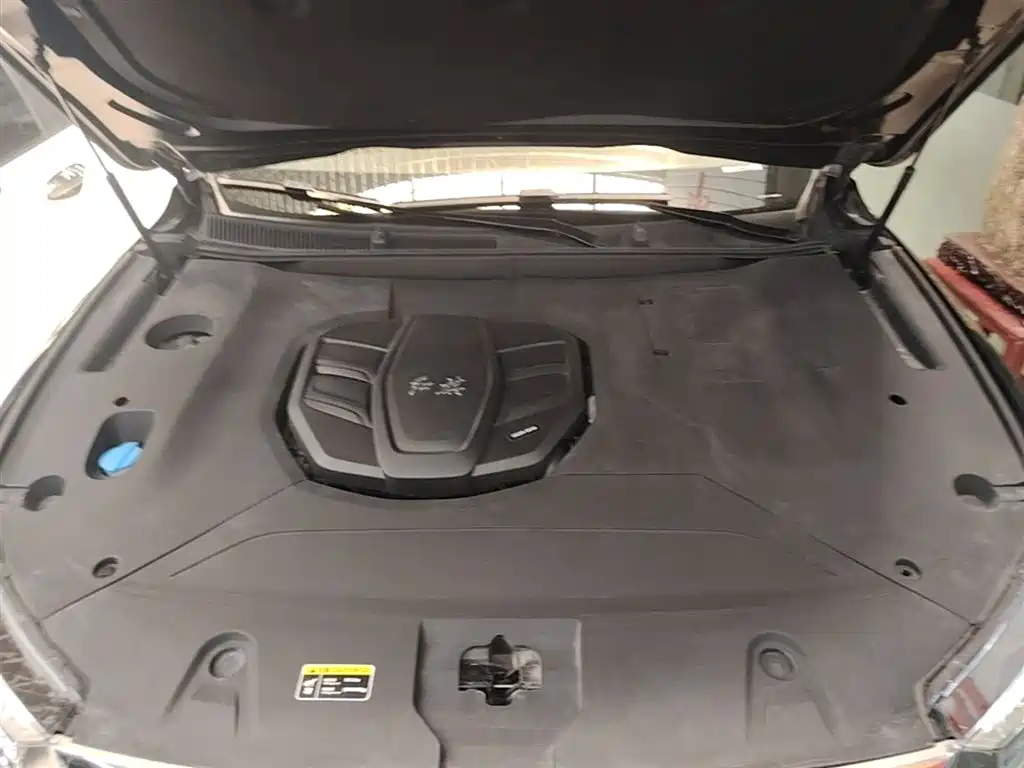 Hongqi HS5 2019 2.0T Smart Connect Enjoy Edition фото 20