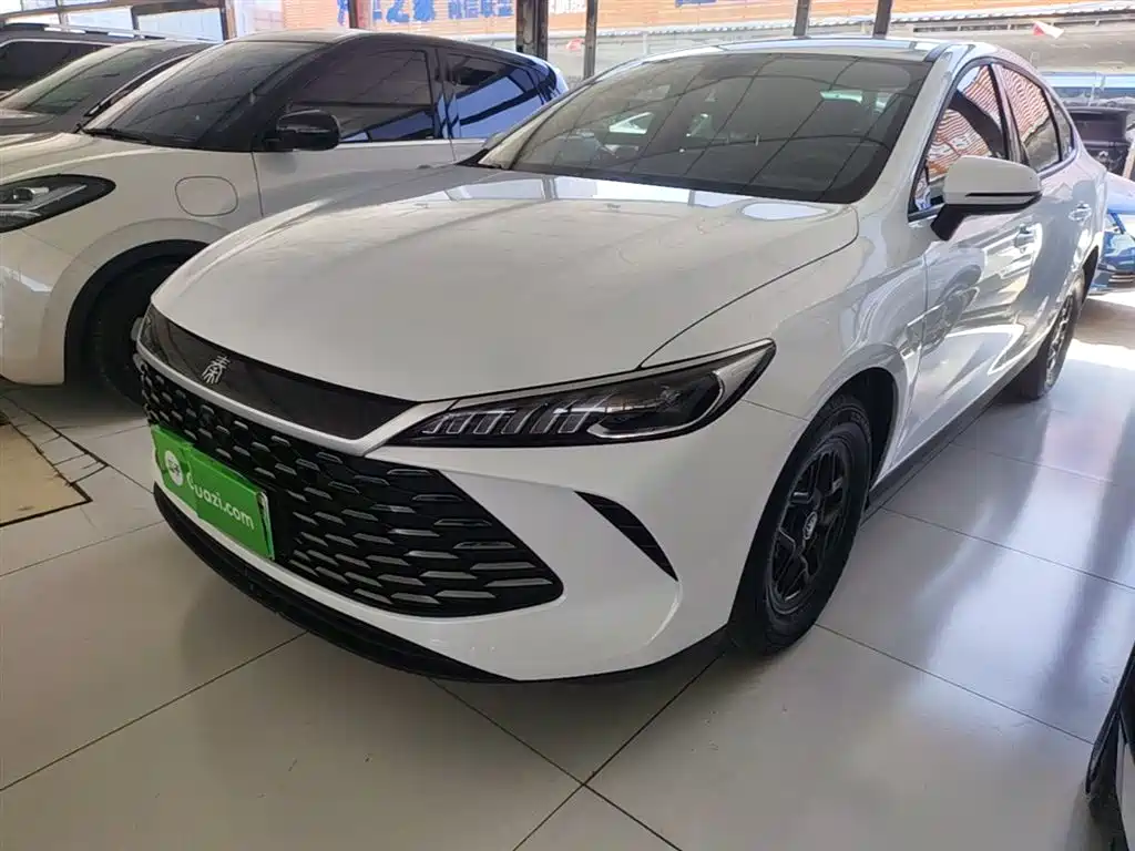 BYD Qin PLUS 2025 DM-i Smart Drive 55KM Leader