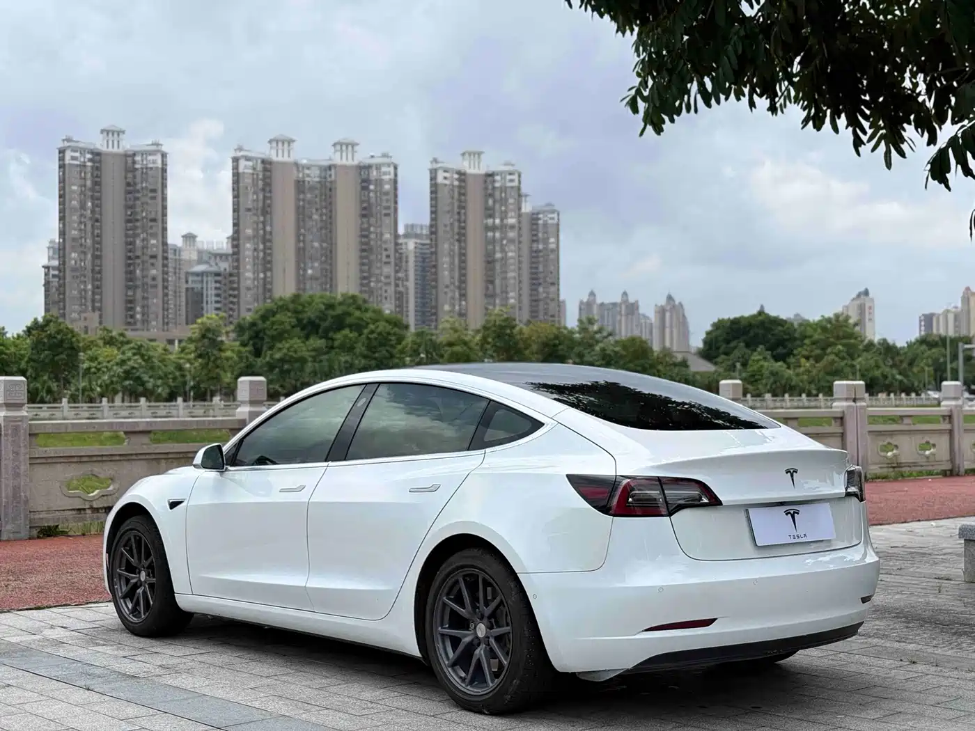 Tesla Model 3 (Import) 2019 2019 Standard Range RWD Upgraded Edition