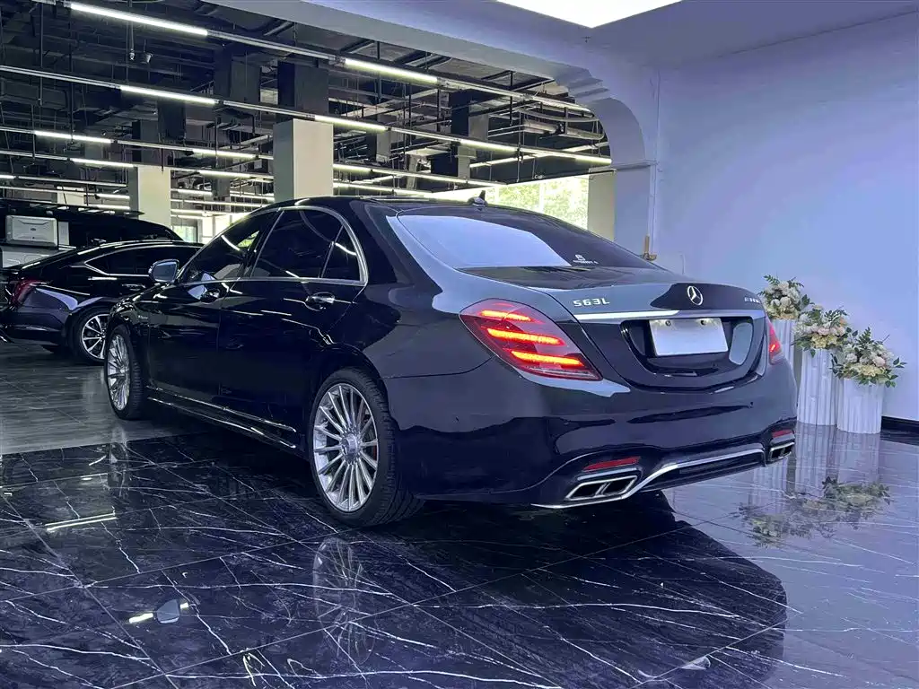 Mercedes-Benz S-Class 2014 S 500 L фото 25