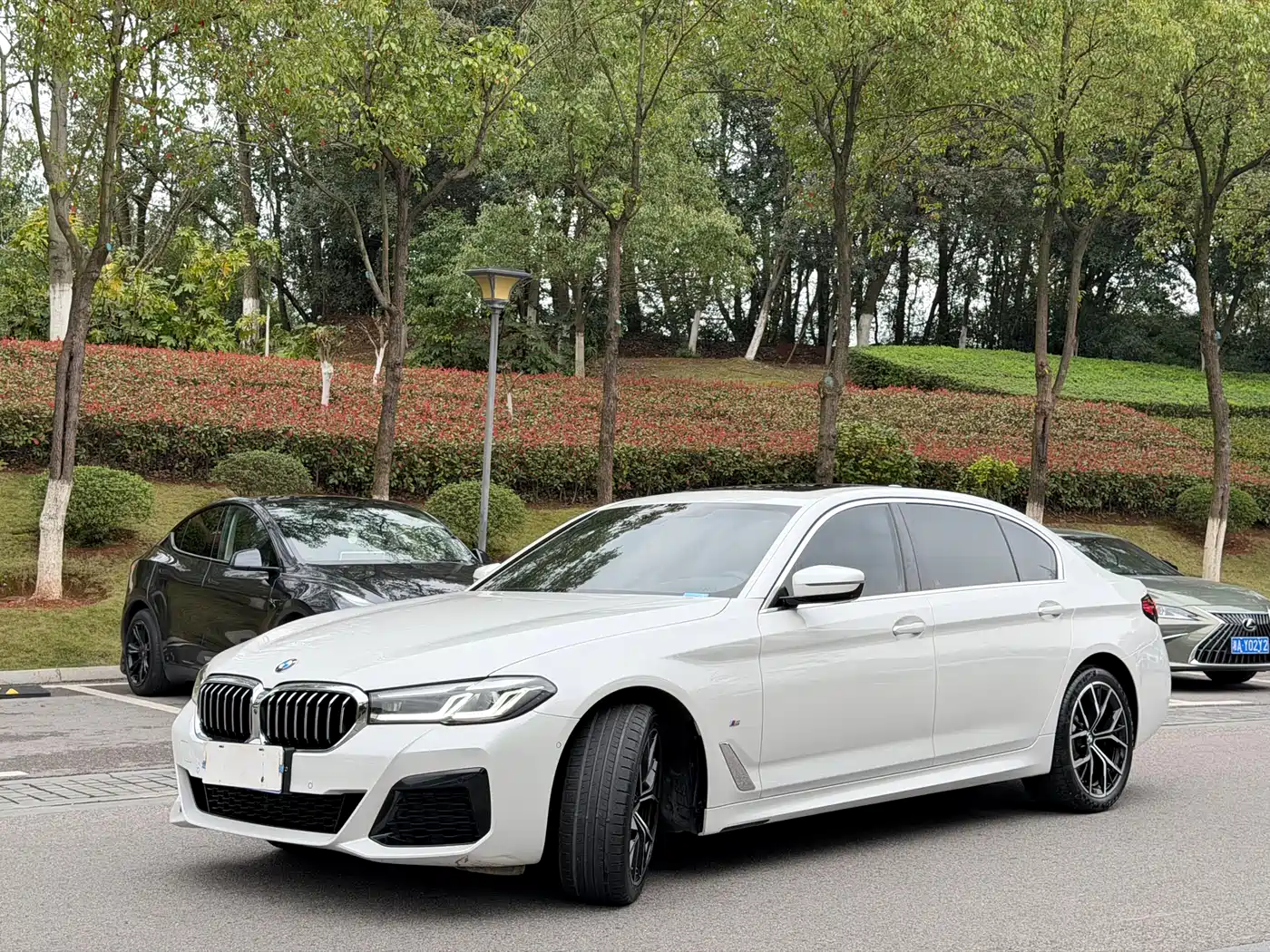 BMW 5 SERIES