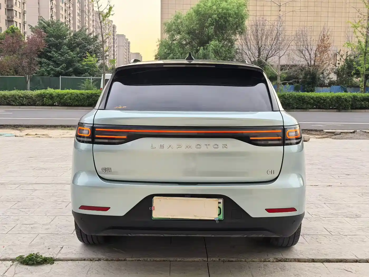 Leapmotor C11 2021 2021 Model Premium Edition
