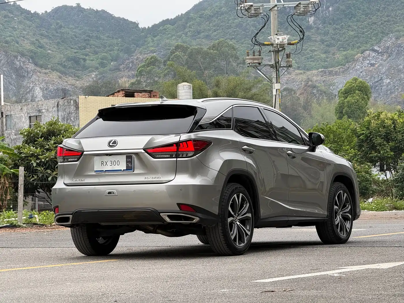 Lexus RX 2021 300 AWD Special Edition фото 16
