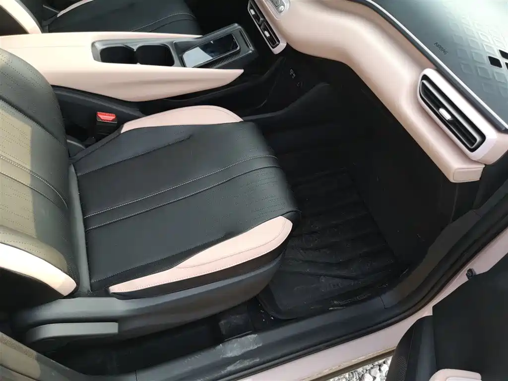 BYD Seagull 2025 Smart Drive Edition 305km Vitality Version фото 25