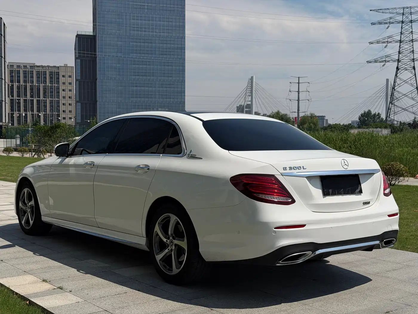 Mercedes-Benz E-Class 2019 E 300 L Sport Luxury фото 4