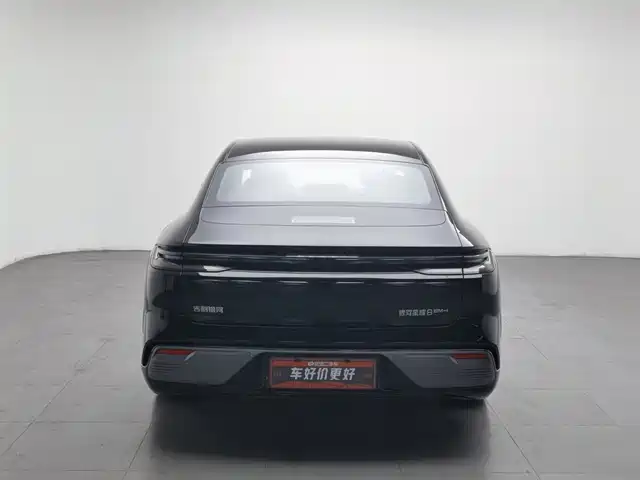 Geely Galaxy Galaxy Xingyao 8 2025 130km EM-i Premium Edition — фото 4