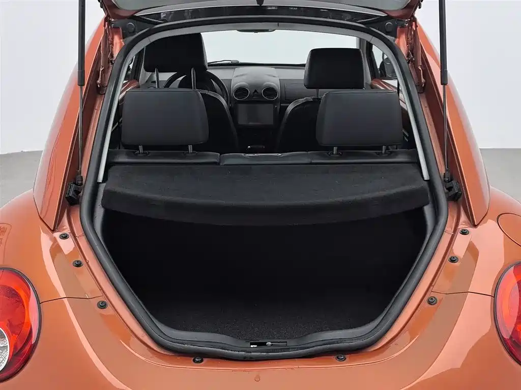 Volkswagen Beetle 2010 1.8T BlackOrange Luxury Edition фото 16