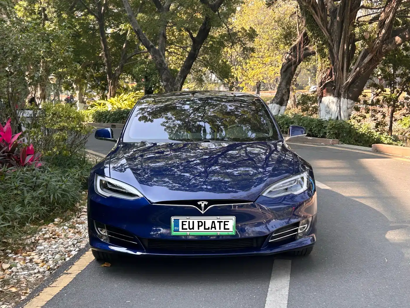 TESLA MODEL S