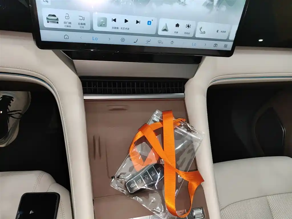 BYD Xia 2025 DM-i 1.5T 100km Surpass Edition фото 13