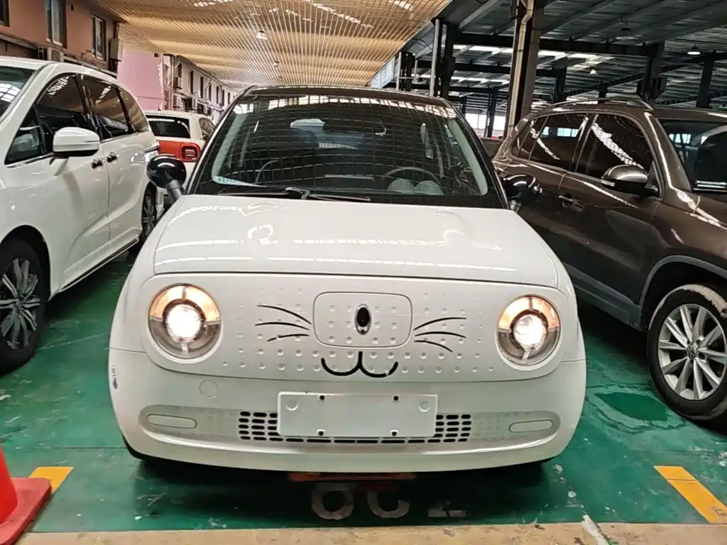 Ora Black Cat 2021 2021 301km Basic Model