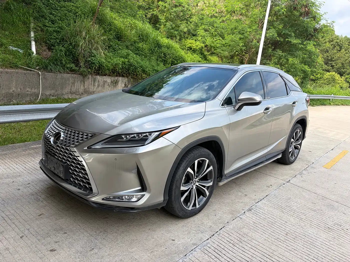 Lexus RX 2020 300 AWD Elegance Edition China V