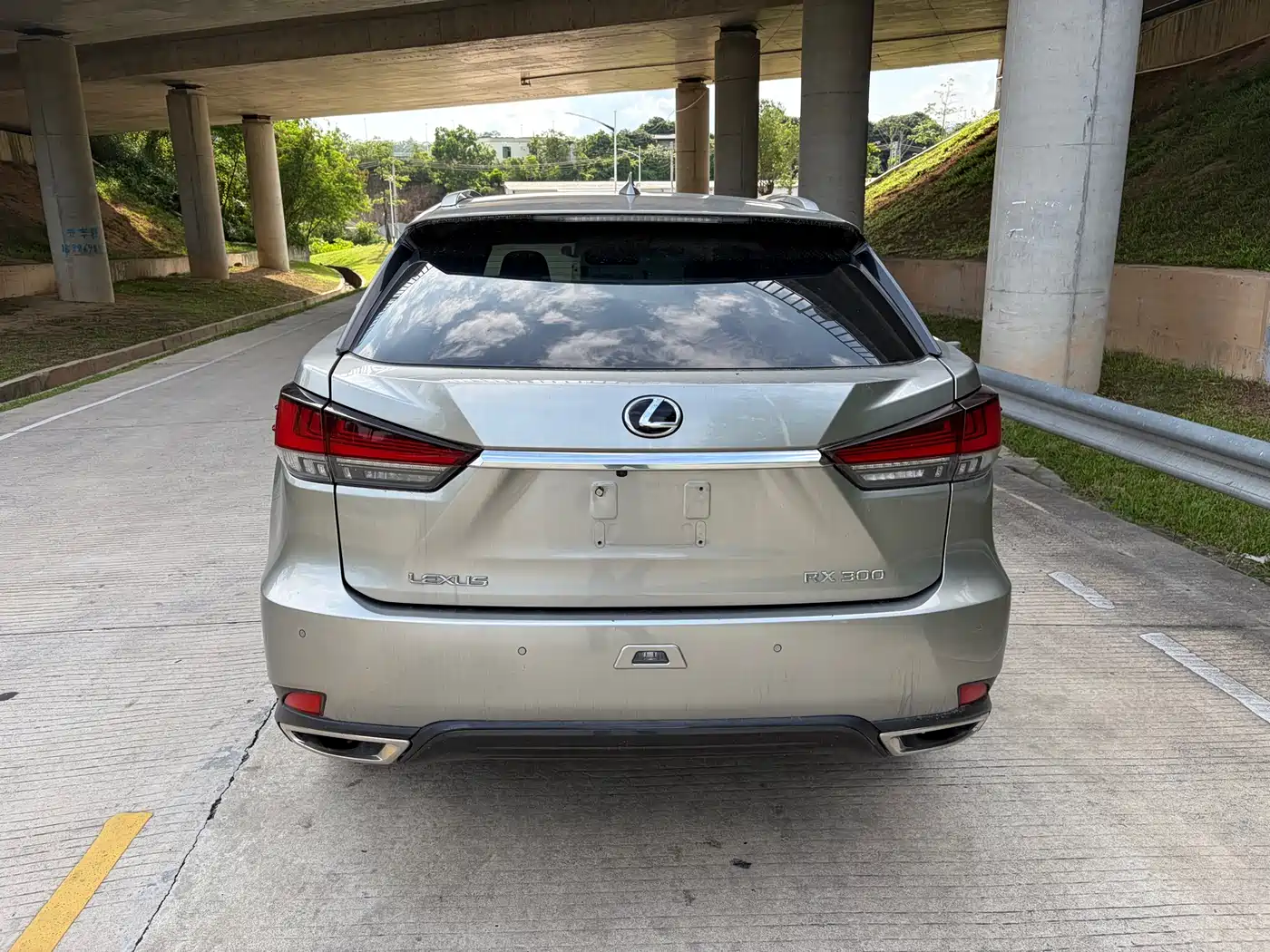 Lexus RX 2020 300 AWD Elegance Edition China V фото 9