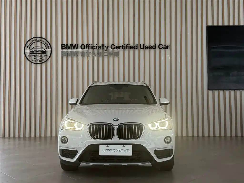 BMW X1 2018 xDrive20Li Luxury Model фото 2