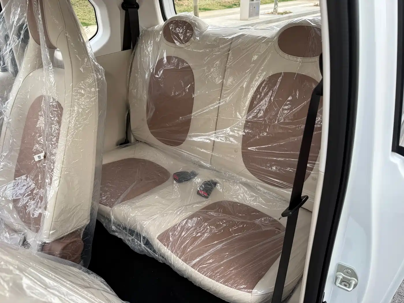 BESTUNE PENTIUM PONY