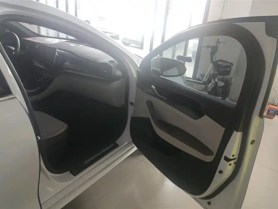 BYD Qin PLUS 2023 Champion Edition EV 510KM Advanced Type фото 8