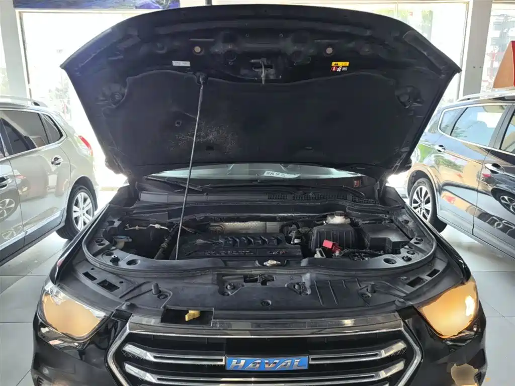 Haval H6 2017 Blue Label Sport 1.5T Manual 2WD Elite фото 20