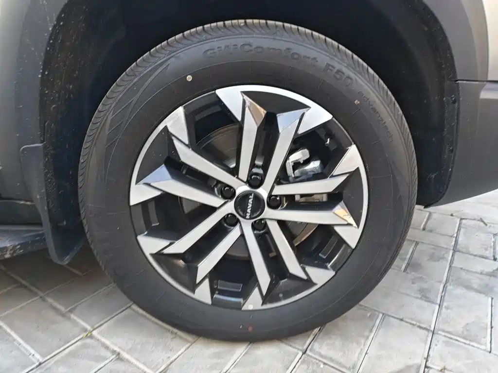Фото 8 - Haval Dargo