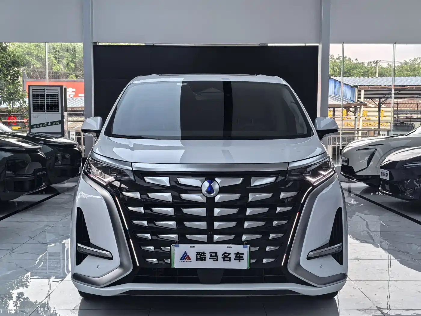 Denza D9 2022 DM-i 970 All-Wheel Drive Honor Edition фото 2