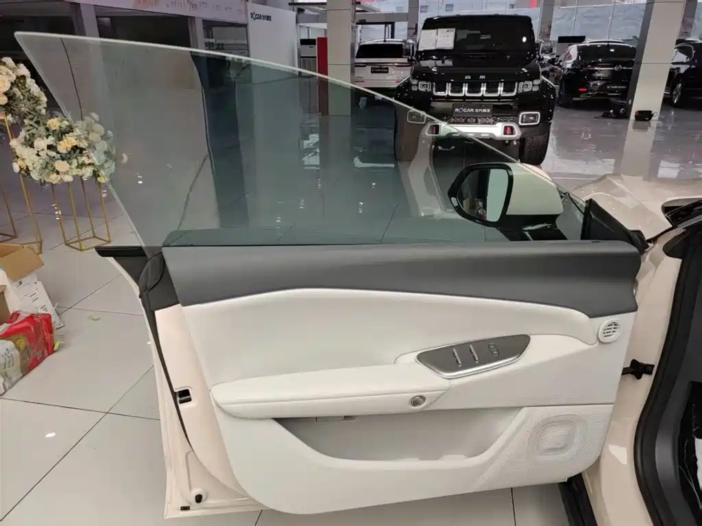 ARCFOX EXTREME FOX POLAR FOX ALPHA S5