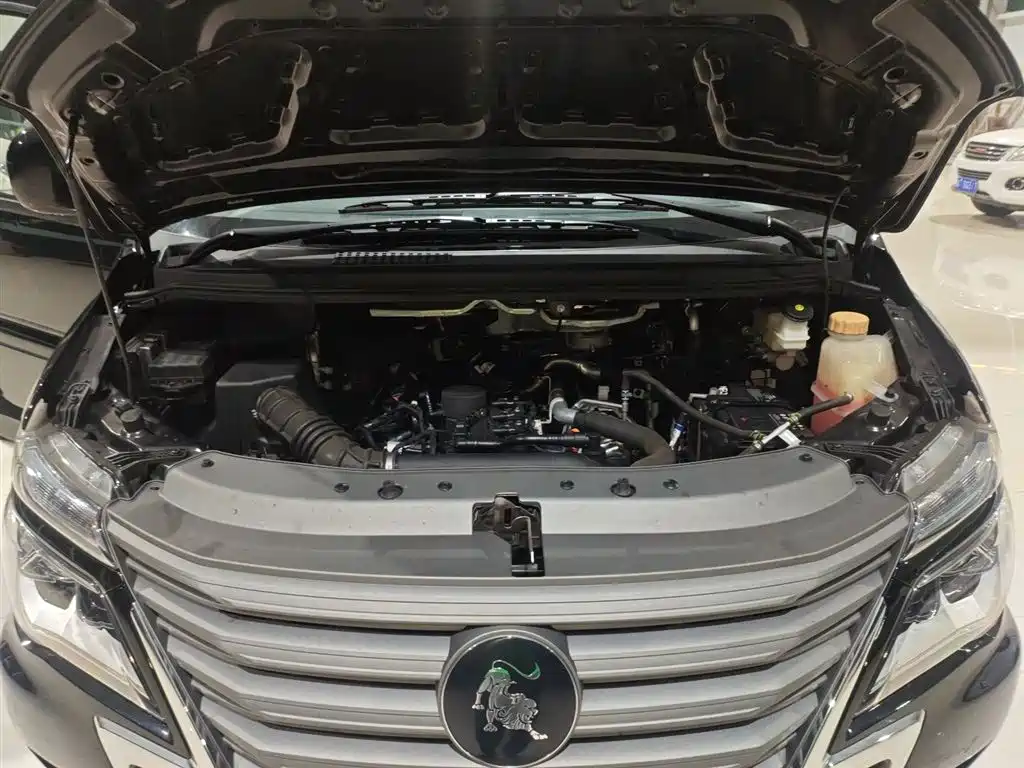 DONGFENG POPULAR LINGZHI