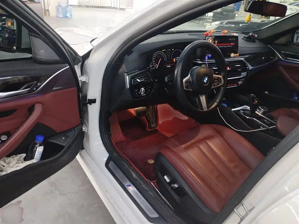 BMW 5 Series 2019 530Li Leading M Sport Package фото 16