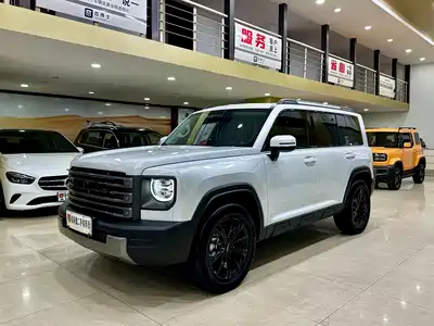Haval Raptor