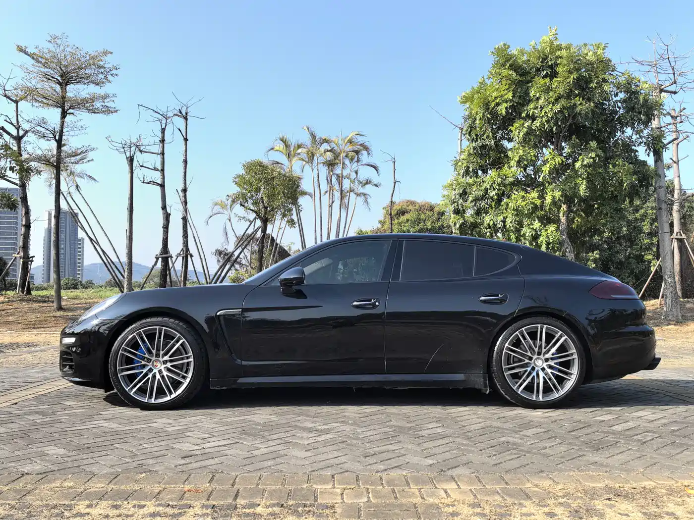 Porsche Panamera 2014 Panamera 3.0T фото 4