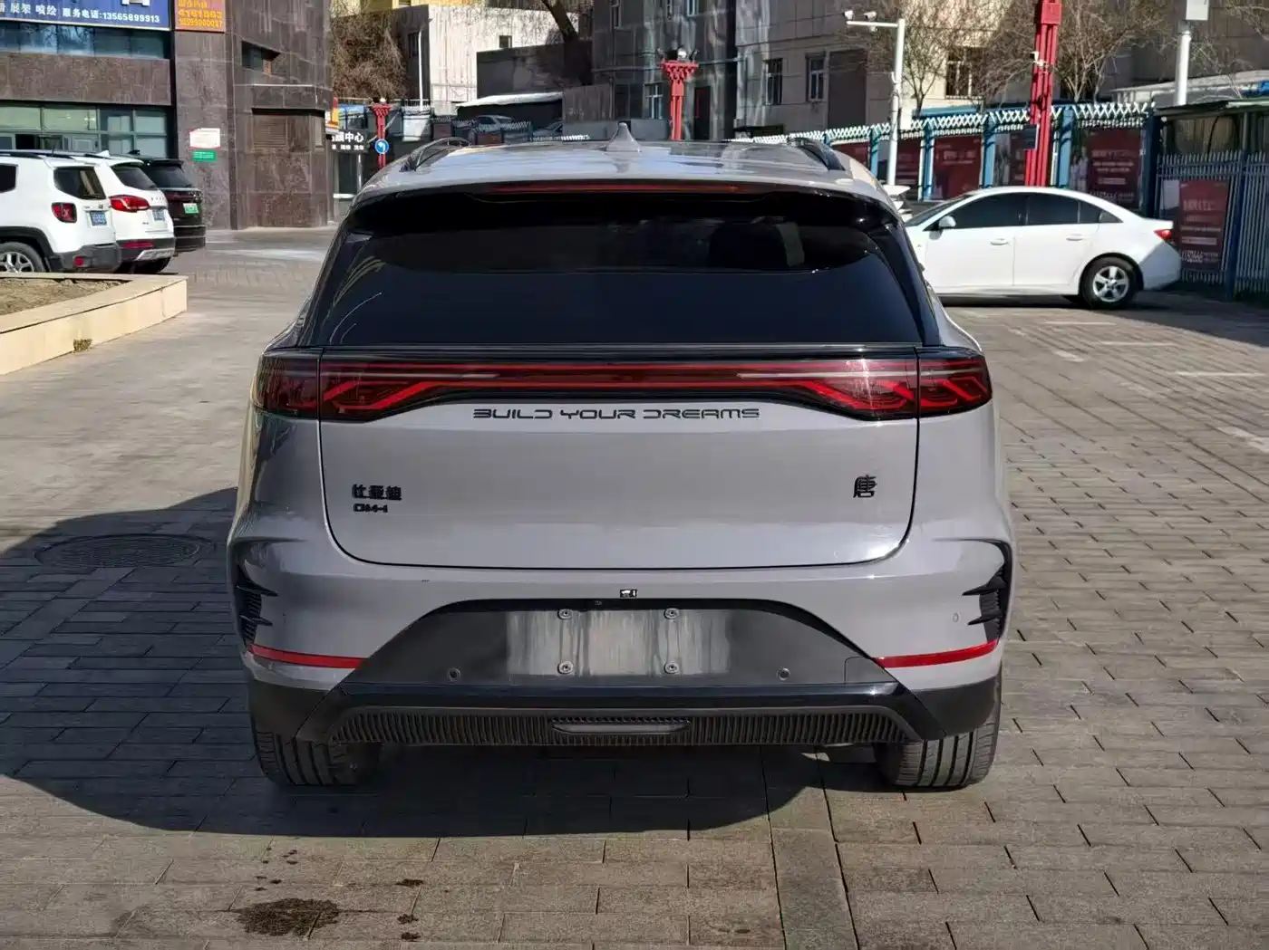 BYD Tang New Energy 2025 DM-i 115KM Premium фото 9
