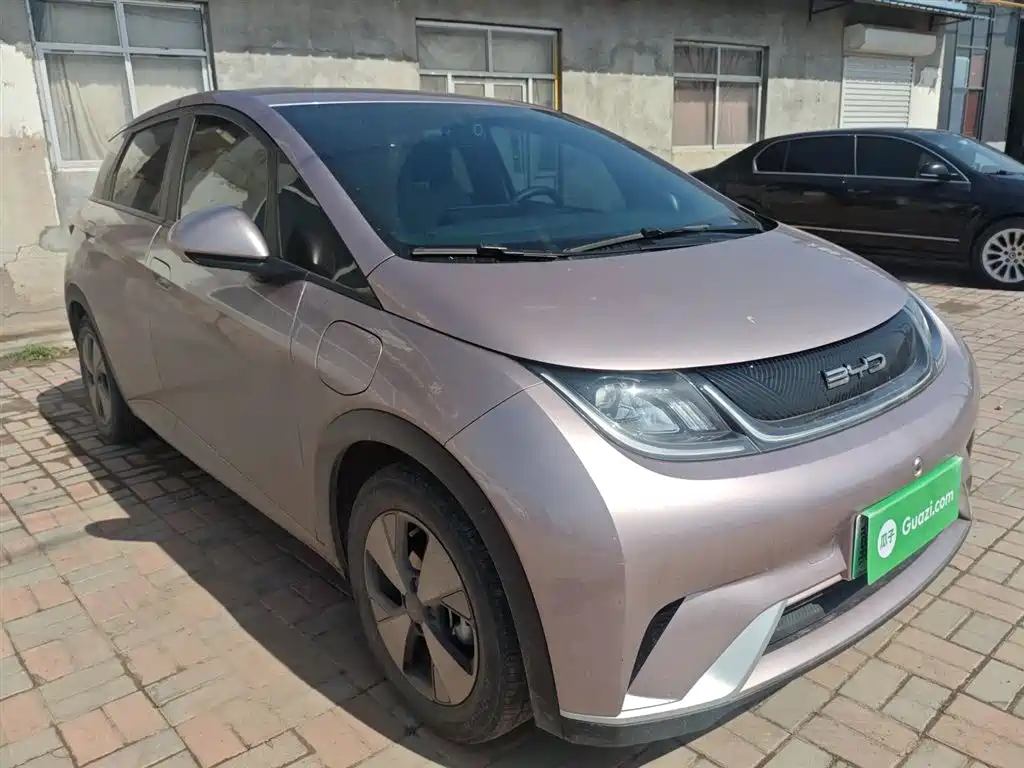 BYD Dolphin 2023 420km Freedom Edition фото 22