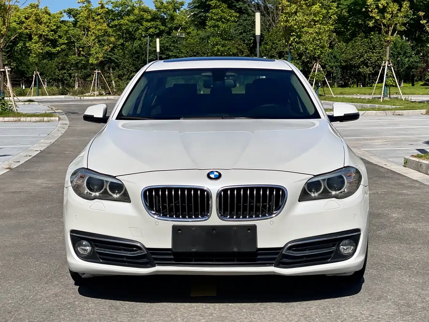 BMW 5 Series 2014 525Li Luxury Design Package